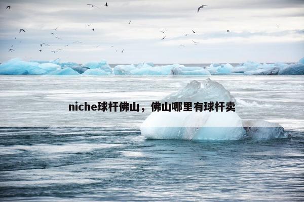 niche球杆佛山，佛山哪里有球杆卖