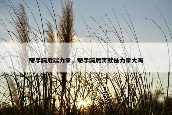掰手腕后端力量，掰手腕厉害就是力量大吗