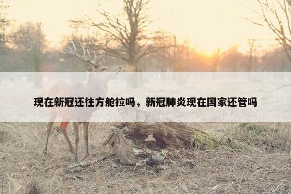 现在新冠还往方舱拉吗，新冠肺炎现在国家还管吗
