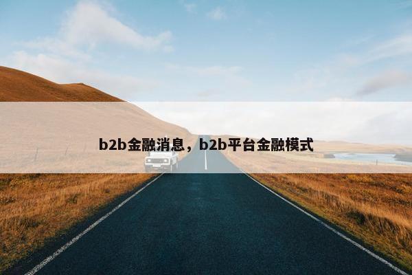 b2b金融消息，b2b平台金融模式
