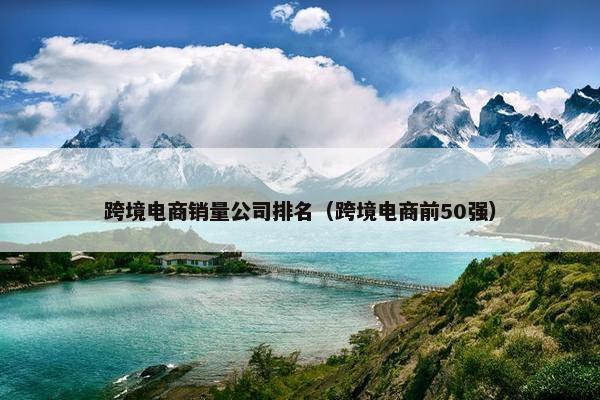 跨境电商销量公司排名（跨境电商前50强）