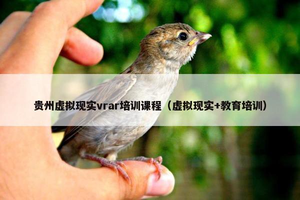 贵州虚拟现实vrar培训课程（虚拟现实+教育培训）