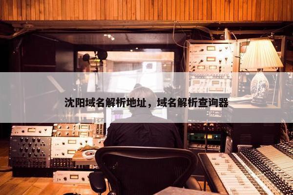 沈阳域名解析地址，域名解析查询器