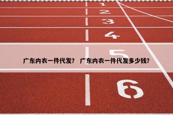 广东内衣一件代发？ 广东内衣一件代发多少钱？