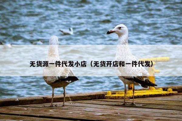 无货源一件代发小店（无货开店和一件代发）