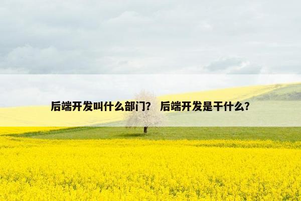 后端开发叫什么部门？ 后端开发是干什么？