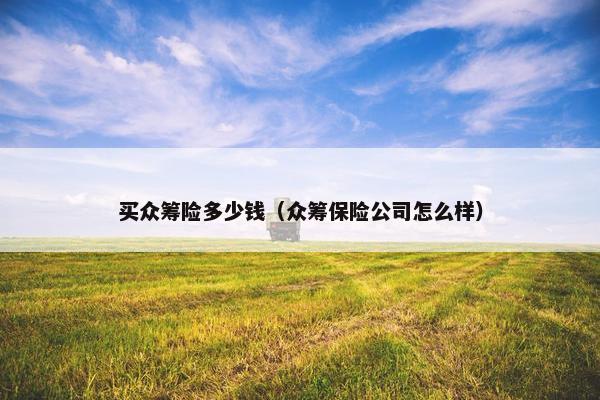 买众筹险多少钱（众筹保险公司怎么样）