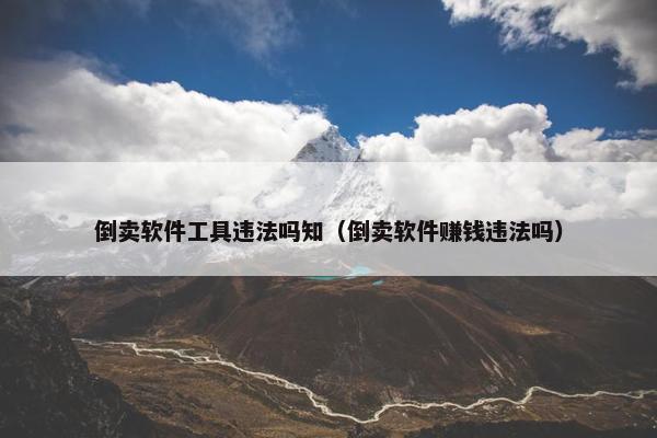 倒卖软件工具违法吗知（倒卖软件赚钱违法吗）