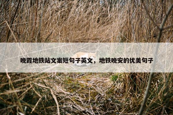 晚霞地铁站文案短句子英文，地铁晚安的优美句子