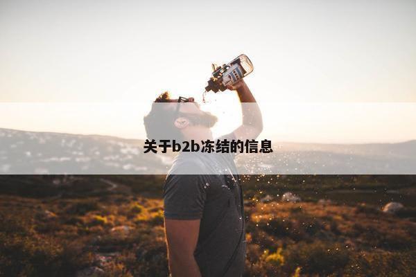 关于b2b冻结的信息
