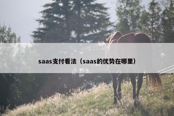 saas支付看法（saas的优势在哪里）