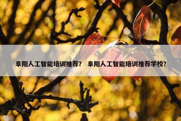 阜阳人工智能培训推荐？ 阜阳人工智能培训推荐学校？
