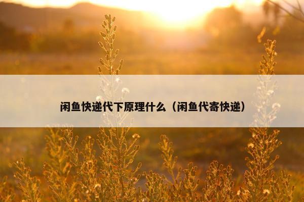 闲鱼快递代下原理什么（闲鱼代寄快递）