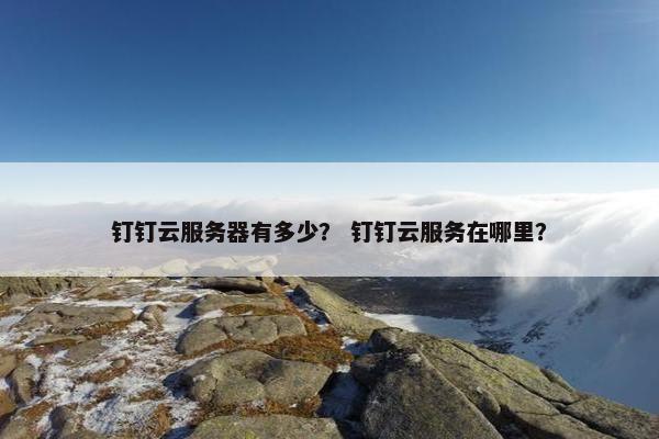 钉钉云服务器有多少？ 钉钉云服务在哪里？