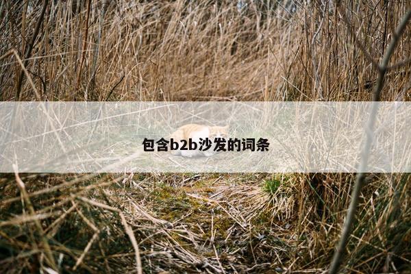 包含b2b沙发的词条