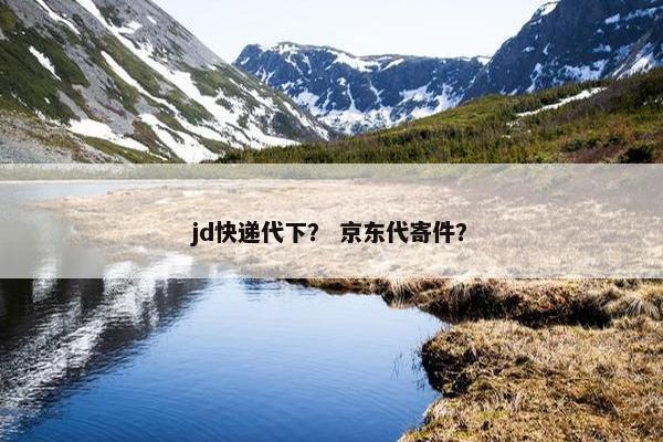 jd快递代下？ 京东代寄件？