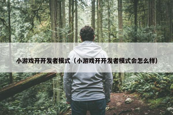 小游戏开开发者模式（小游戏开开发者模式会怎么样）
