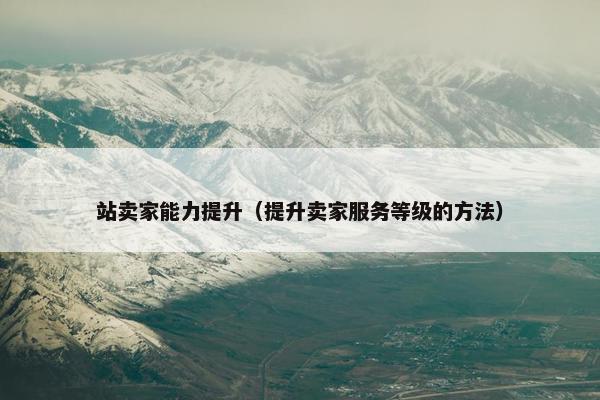 站卖家能力提升（提升卖家服务等级的方法）