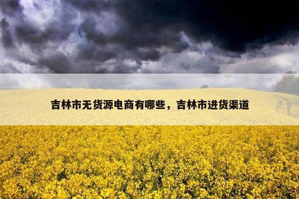 吉林市无货源电商有哪些，吉林市进货渠道
