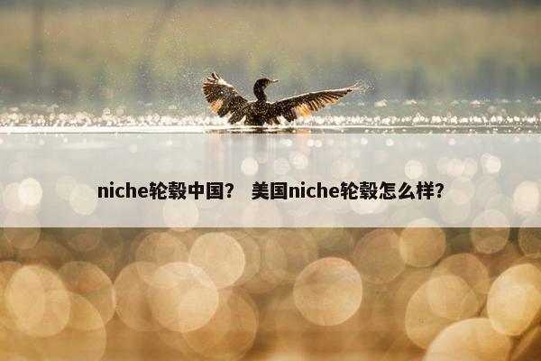 niche轮毂中国？ 美国niche轮毂怎么样？