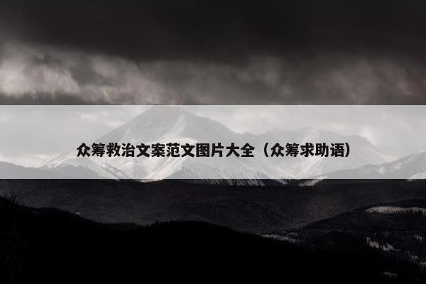 众筹救治文案范文图片大全（众筹求助语）