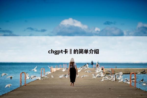 chgpt卡頓的简单介绍