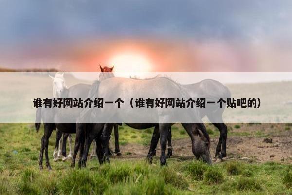 谁有好网站介绍一个（谁有好网站介绍一个贴吧的）