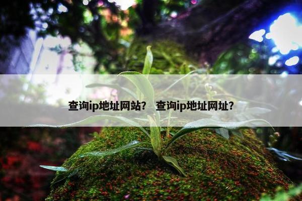 查询ip地址网站？ 查询ip地址网址？