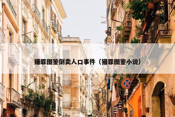 猎罪图鉴倒卖人口事件（猎罪图鉴小说）
