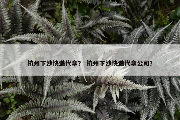 杭州下沙快递代拿？ 杭州下沙快递代拿公司？