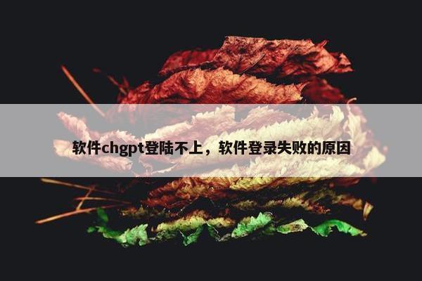 软件chgpt登陆不上，软件登录失败的原因