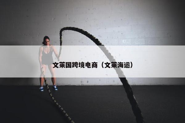 文莱国跨境电商（文莱海运）