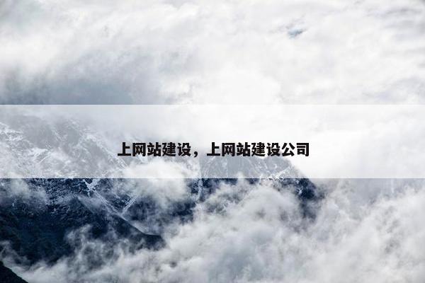上网站建设，上网站建设公司
