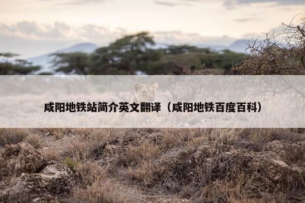 咸阳地铁站简介英文翻译（咸阳地铁百度百科）