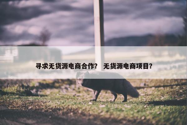 寻求无货源电商合作？ 无货源电商项目？