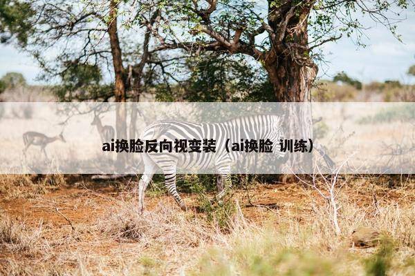 ai换脸反向视变装（ai换脸 训练）