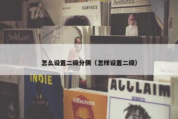 怎么设置二级分佣（怎样设置二级）
