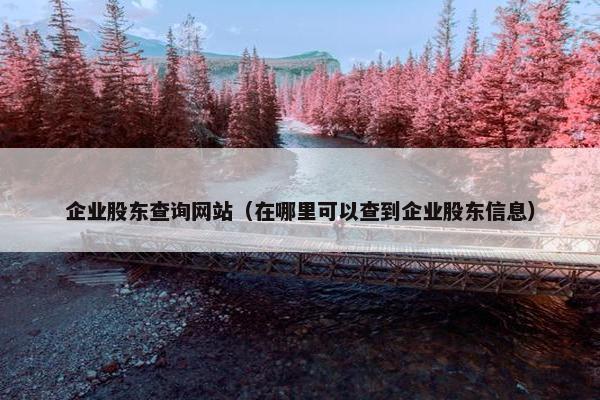 企业股东查询网站（在哪里可以查到企业股东信息）