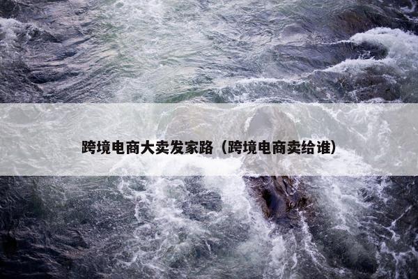 跨境电商大卖发家路（跨境电商卖给谁）