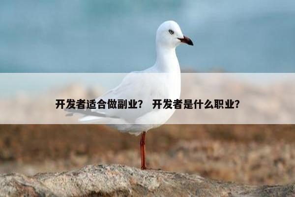 开发者适合做副业？ 开发者是什么职业？