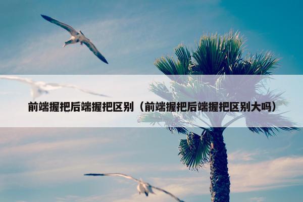 前端握把后端握把区别（前端握把后端握把区别大吗）