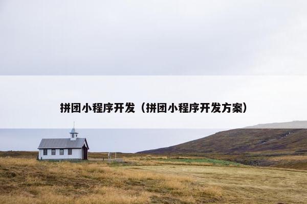 拼团小程序开发（拼团小程序开发方案）