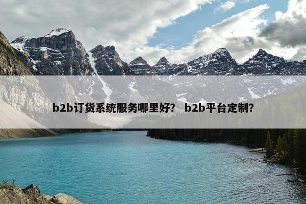 b2b订货系统服务哪里好？ b2b平台定制？
