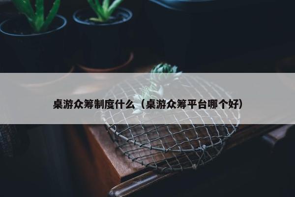 桌游众筹制度什么（桌游众筹平台哪个好）
