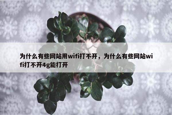 为什么有些网站用wifi打不开，为什么有些网站wifi打不开4g能打开