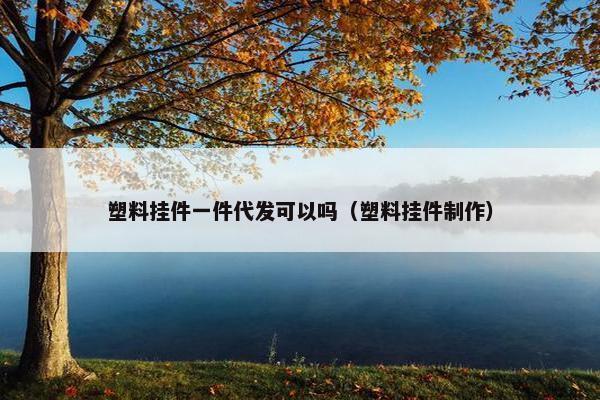塑料挂件一件代发可以吗（塑料挂件制作）
