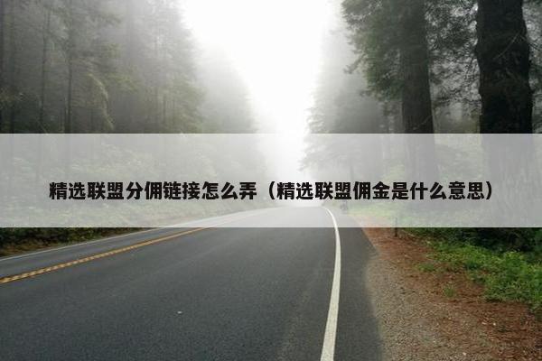精选联盟分佣链接怎么弄（精选联盟佣金是什么意思）