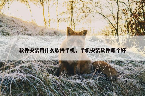 软件安装用什么软件手机，手机安装软件哪个好
