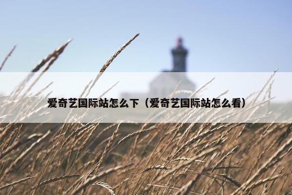 爱奇艺国际站怎么下（爱奇艺国际站怎么看）