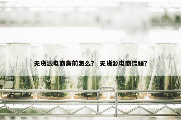 无货源电商售前怎么？ 无货源电商流程？